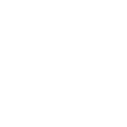 Zahnrad Icon